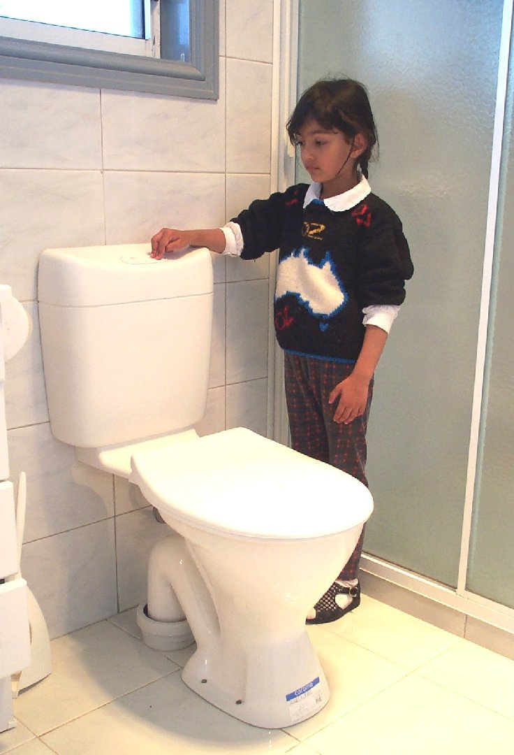 Flushing toilet2.jpg